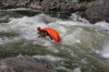 Thumbs/tn_Img_4888.jpg