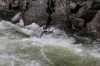 Thumbs/tn_Img_4941.jpg