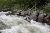 Thumbs/tn_Img_4961.jpg