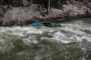 Thumbs/tn_Img_4971.jpg