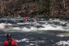 Thumbs/tn_Img_7691.jpg