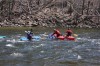 Thumbs/tn_Img_7709.jpg