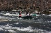 Thumbs/tn_Img_7737.jpg