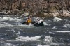 Thumbs/tn_Img_7745.jpg