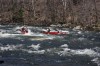 Thumbs/tn_Img_7837.jpg