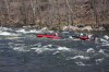 Thumbs/tn_Img_7840.jpg