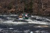 Thumbs/tn_Img_7868.jpg