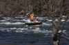 Thumbs/tn_Img_7894.jpg
