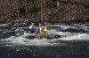 Thumbs/tn_Img_8103.jpg