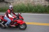 Thumbs/tn_Img_6831.jpg