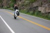 Thumbs/tn_Img_6859.jpg