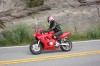 Thumbs/tn_Img_6913.jpg