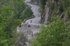 Thumbs/tn_Img_6917.jpg