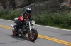 Thumbs/tn_Img_6948.jpg