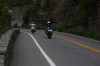 Thumbs/tn_Img_6980.jpg