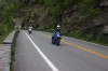 Thumbs/tn_Img_6983.jpg