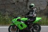 Thumbs/tn_Img_7355.jpg
