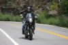 Thumbs/tn_Img_7367.jpg