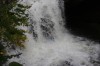 Thumbs/tn_Img_9878.jpg