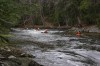 Thumbs/tn_Img_9333.jpg