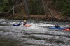 Thumbs/tn_Img_9335.jpg