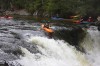 Thumbs/tn_Img_9347.jpg