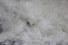 Thumbs/tn_Img_9362.jpg