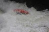 Thumbs/tn_Img_9416.jpg