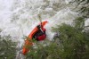 Thumbs/tn_Img_9423.jpg