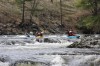 Thumbs/tn_Img_9505.jpg