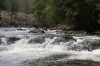 Thumbs/tn_Img_9507.jpg