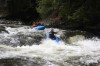 Thumbs/tn_Img_9519.jpg