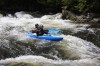 Thumbs/tn_Img_9526.jpg