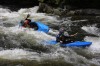 Thumbs/tn_Img_9528.jpg