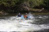 Thumbs/tn_Img_9536.jpg