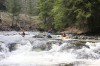 Thumbs/tn_Img_9545.jpg