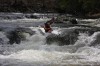 Thumbs/tn_Img_9548.jpg