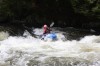 Thumbs/tn_Img_9555.jpg