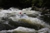 Thumbs/tn_Img_9558.jpg