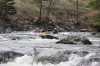 Thumbs/tn_Img_9567.jpg