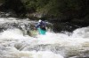 Thumbs/tn_Img_9575.jpg