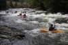 Thumbs/tn_Img_9585.jpg