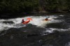 Thumbs/tn_Img_9594.jpg