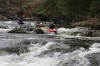 Thumbs/tn_Img_9601.jpg