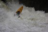 Thumbs/tn_Img_9657.jpg