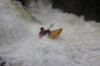 Thumbs/tn_Img_9660.jpg