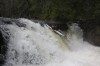 Thumbs/tn_Img_9672.jpg