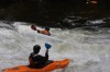 Thumbs/tn_Img_9686.jpg