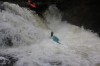 Thumbs/tn_Img_9706.jpg