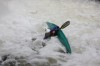 Thumbs/tn_Img_9712.jpg